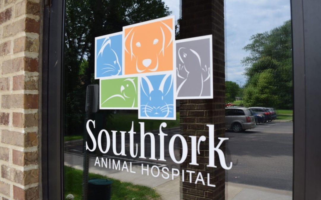 Southfork Animal Hospital Celebrating 30 Years!