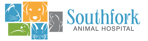 Southfork Animal Hospital