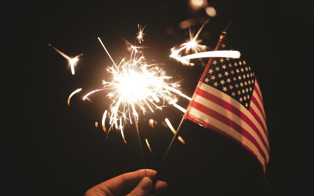 Tips to Keep Your Pet Calm on the Fourth of July